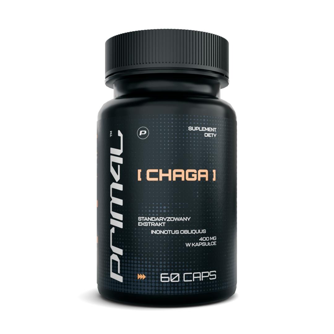 Chaga extract 400 mg 60 szt.