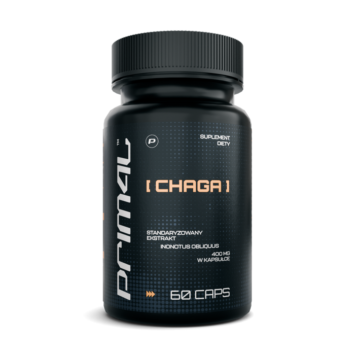 Chaga extract 400 mg 60 szt.