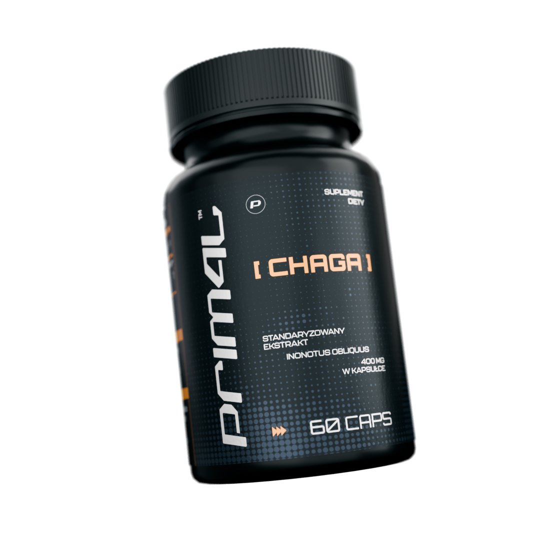 Chaga extract 400 mg 60 szt.